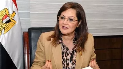 التخطيط: 73,8 مليار جنيه إستثمارات موجهة لقطاع الزراعة في 2021-2022