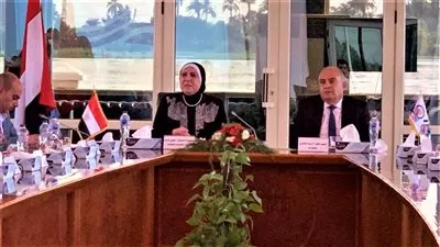 وزيرة الصناعة: إتاحة خدمات التنمية الصناعية بالمحافظات