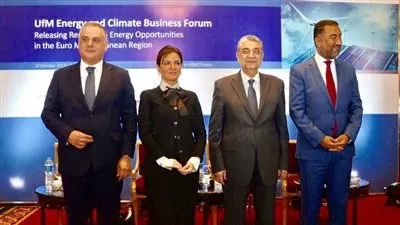 السويدي إليكتريك تنفذ محطتي طاقة شمسية باستثمارات 150 مليون دولار