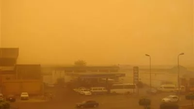 عواصف ترابية تضرب الوادي الجديد