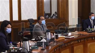 «المشاط»: مليار جنيه إستثمارات القطاع الخاص والأجانب فى الشركات الناشئة