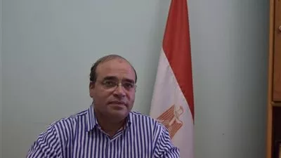 نائب برلماني: تعديل قانون الاستثمار على رأس الأولويات