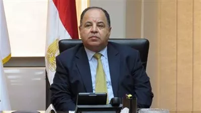 2.5 مليار جنيه ضرائب ورسوم بجمارك «الدخيلة» و«دمياط» خلال يوليو