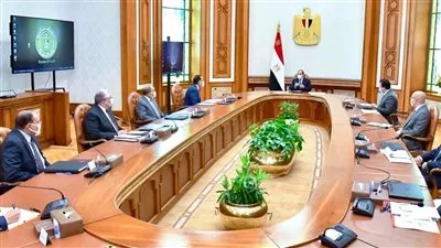 السيسي يوجه بإعادة صياغة إستغلال أصول وأراضي مراكز البحوث الزراعية