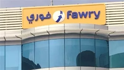 113 مليون جنيه أرباح «فوري» خلال النصف الأول من 2021
