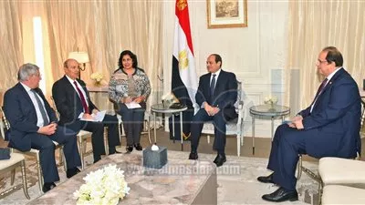 السيسي يلتقي رئيس شركة 