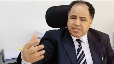 تعاون مصري هولندي لتحسين الرقابة على الحسابات المالية