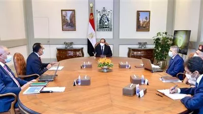 السيسي يوجه بالاستمرار في مشروعات تطوير قناة السويس
