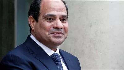 السيسي يخصص قطعة أرض لصالح هيئة الشرب والصرف الصحي بقنا