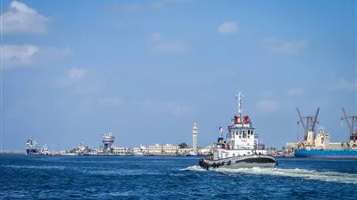 ميناء دمياط يستقبل 7 سفن حاويات وبضائع خلال 24 ساعة