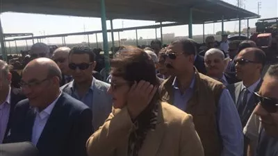 وزيرة التخطيط تتفقد مزرعة 