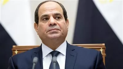 قرار جمهوري بتخصيص قطعة أرض لإنشاء مدينة بئر العبد الجديدة