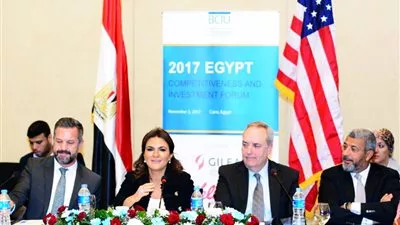 وزيرة الاستثمار تبحث مع 
