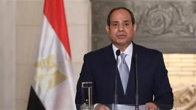 السيسي: ميكنة الإجراءات الضريبية والجمركية بحلول مارس 2022