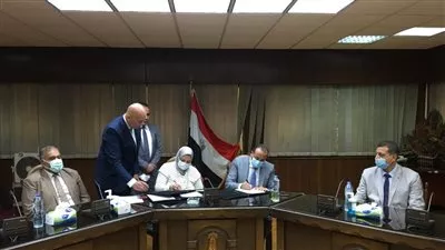 تنفيذ 3 محطات محولات لتأمين التغذية الكهربائية فى سيناء بـ 1.15 مليار جنيه