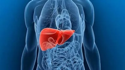 طبيب فرنسي: مسح أشعة الإيكو ضروري لمرضى 