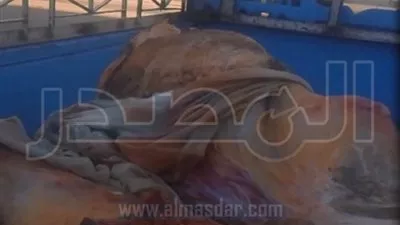 ضبط 18 قضية تموينية متنوعة في أسيوط