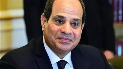 السيسي يفتتح 10 مشاريع فى كفر الشيخ بالفيديو كونفرانس