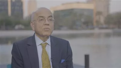 مدير بصندوق النقد لـCNN: تعويم الجنيه هدف حددته الحكومة المصرية بنفسها