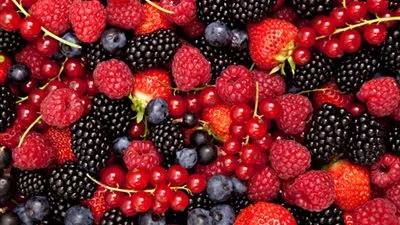 دراسة: التوت يفقد الوزن ويقلل الإصابة بالسرطان