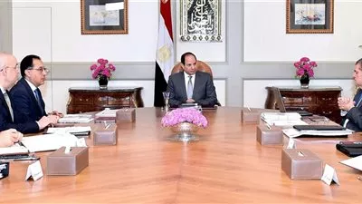السيسي يوجه بمواصلة تطوير شركات قطاع الأعمال العام