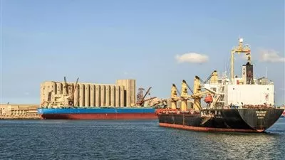 تداول 6 سفن للحاويات والبضائع العامة بميناء دمياط