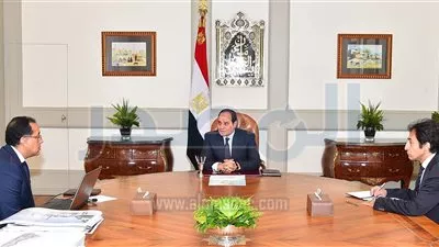 السيسي يوجه الحكومة بإعداد خطة لتطوير 