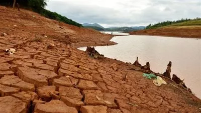 الجفاف يهدد محصول البن البرازيلي خلال الموسم المقبل