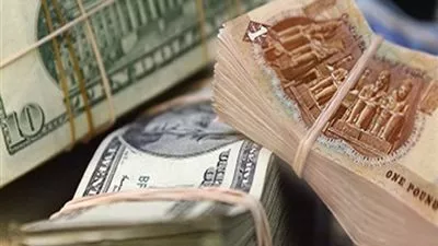الجنيه المصري شبه مستقر مع بدء التداول الحر للعملات