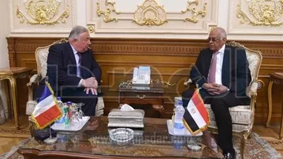 علي عبد العال يستقبل رئيس مجلس الشيوخ الفرنسي 