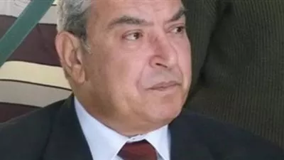 محافظ المنيا الجديد: 