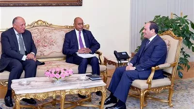 السيسي يبحث مع مدير «النيباد» دعم مبادرات التكامل الاقتصادي بأفريقيا