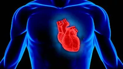 علماء يطورون جهاز إستشعار لمراقبة صحة القلب