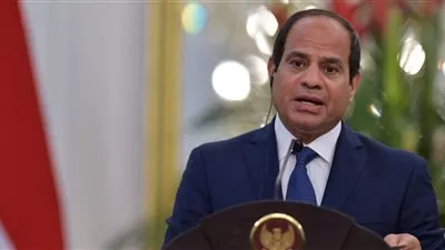 قمة مصرية برتغالية اليوم بين السيسي ودي سوزا في لشبونة