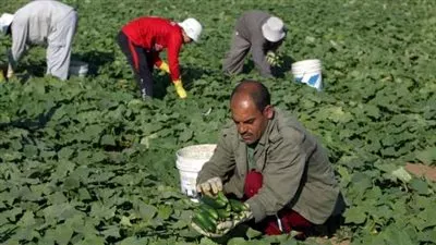 تخصيص قطعة أرض لصالح الهيئة العامة لمشروعات التعمير والتنمية الزراعية