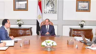 السيسي يوجه الحكومة بسرعة تطبيق التحول الرقمي والشمول المالي