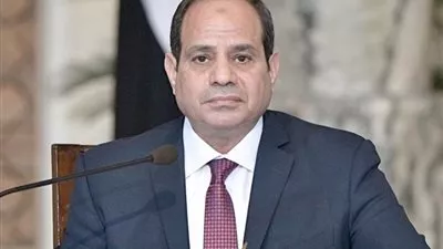 السيسي يوافق على فتح مكتب لمجموعة البنك الإسلامي للتنمية بمصر