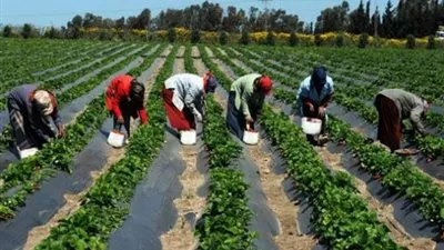 ملخص قرار الجمعية العمومية غير العادية للجمعية التعاونية الزراعية