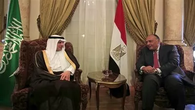 سامح شكري يغادر الرياض بعد زيارة استغرقت ساعات