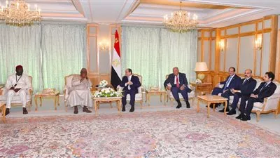 السيسي يؤكد حرص مصر على تعزيز التعاون مع جامبيا في مختلف المجالات