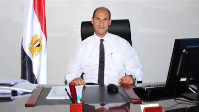 خبراء: قطاع التأمين يمنح الاقتصاد القومى «صك الحماية»