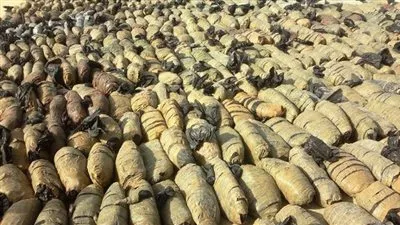 الداخلية : ضبط سيارة نقل محملة بـ 7 أطنان من مخدر البانجو بسيناء