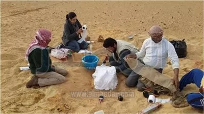 البيئة: بعثة استكشافية لاستخراج حوالي 93  من الحفريات  بالفيوم 