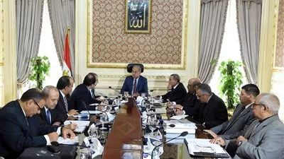 رئيس الوزراء يستعرض خطة تطوير وتدعيم شبكة نقل وتوزيع الكهرباء