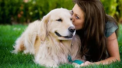 دراسة: مخ الكلب ينتبه للكلمات التي يرددها صاحبه ونبرات الصوت