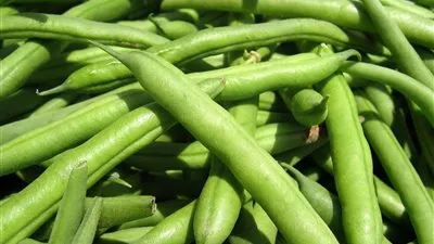 4 فوائد صحية للألياف..تعرّف عليها