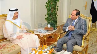 صور: السيسي يلتقي وزير الخارجية الإماراتي