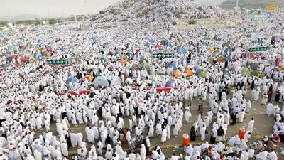 19 سبتمبر.. عودة أول فوج من الحجاج إلى القاهرة