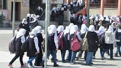 فيديو.. 