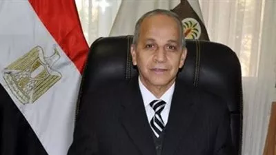 محافظ الوادي الجديد يعتمد تخطيط وتقسيم منطقتين